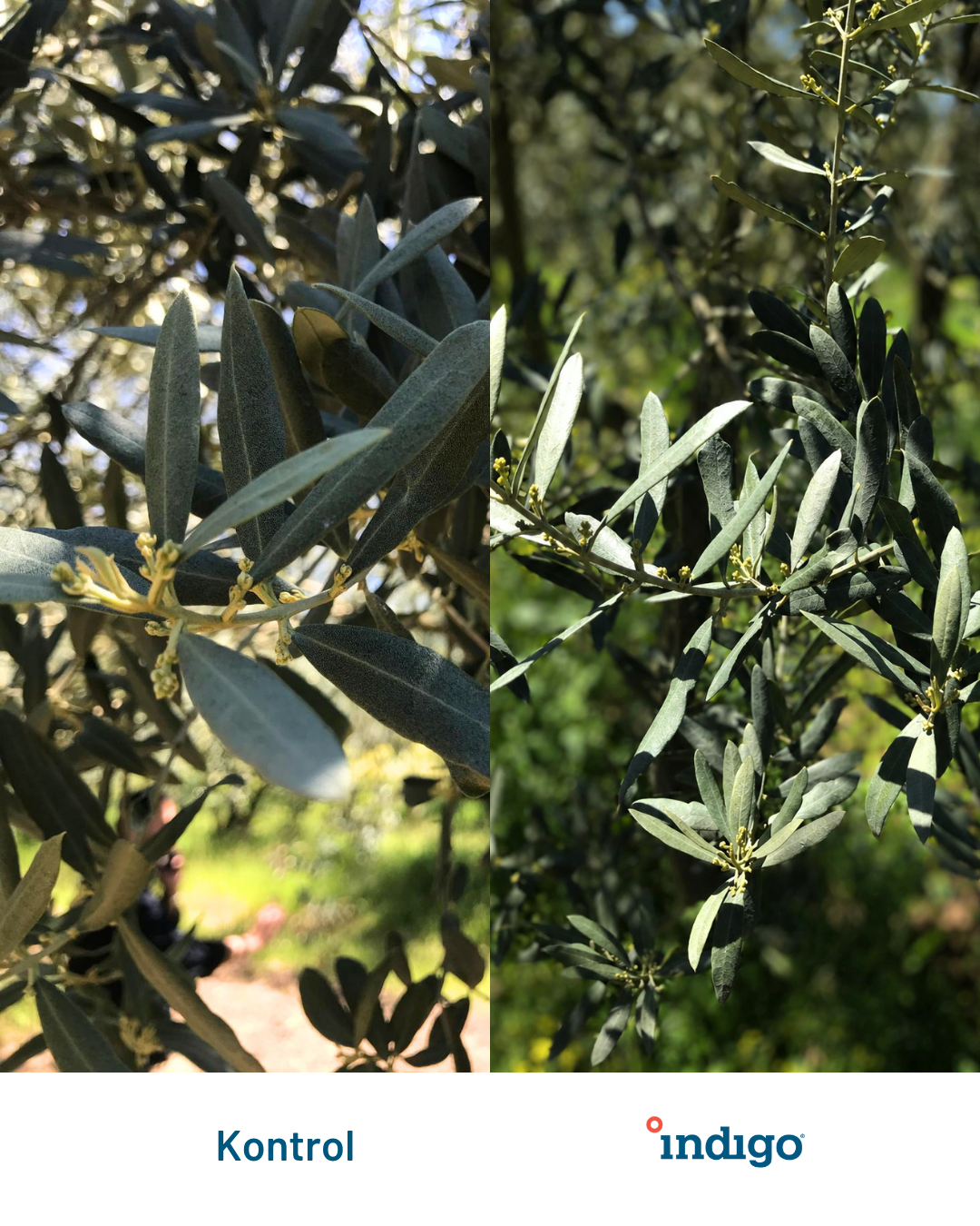Adsız (Instagram Gönderisi (45))n
