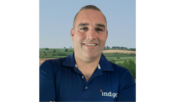 Hüseyin Ayık Indigo