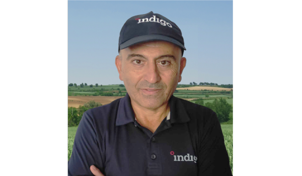 Harun Baycan Indigo