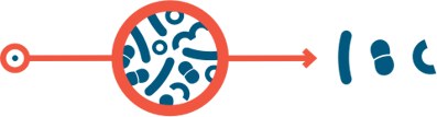 Microbes_Are_Everywhere
