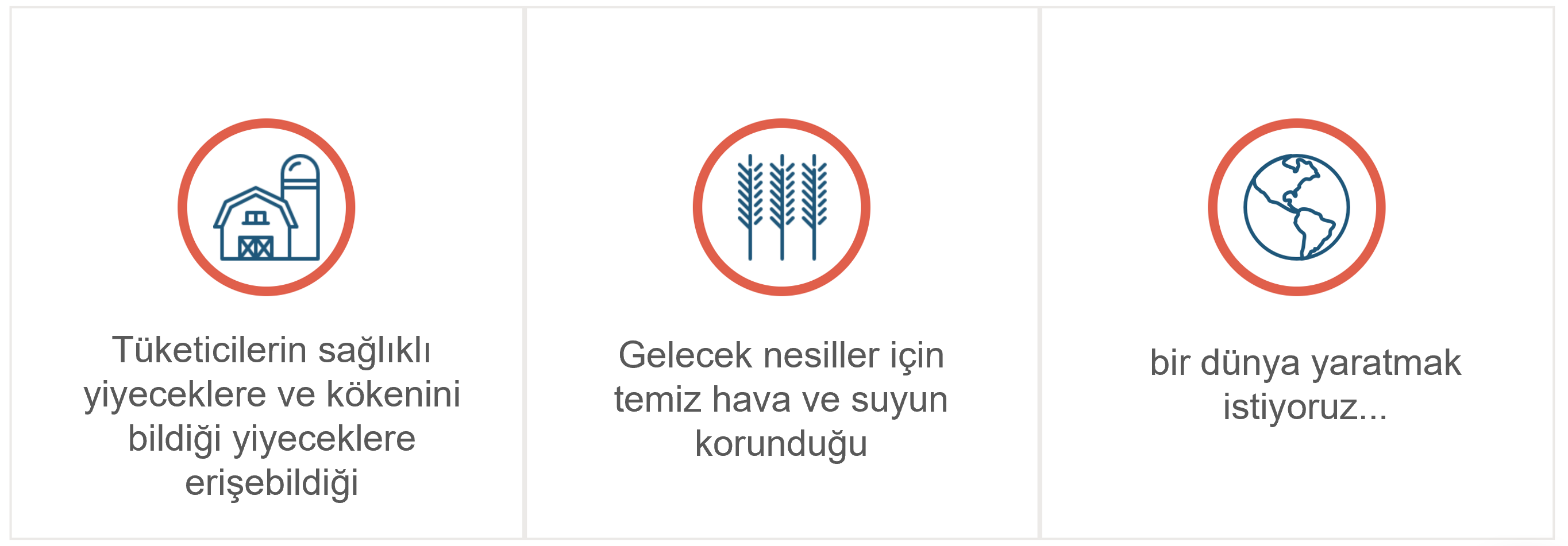 about picture TK