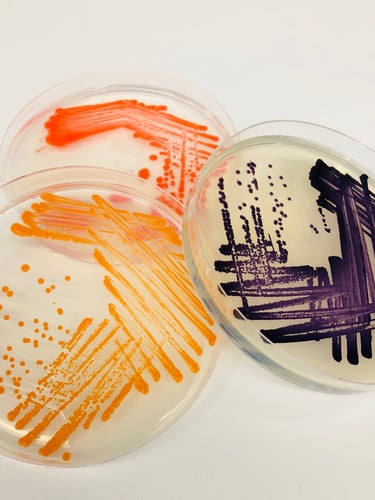 Microbiome Monday_6.25.18-3